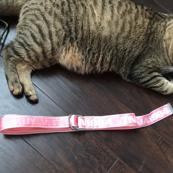 🦋3/$50 Aritzia TNA very long belt - Picture 7 of 10